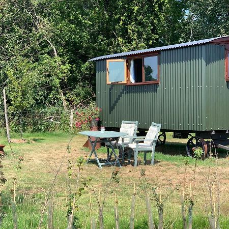 Sindles Farm Bed & Breakfast Emsworth Dış mekan fotoğraf