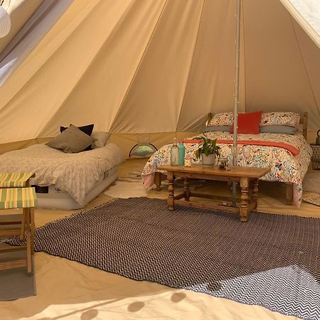Sindles Farm Bed & Breakfast Emsworth Dış mekan fotoğraf