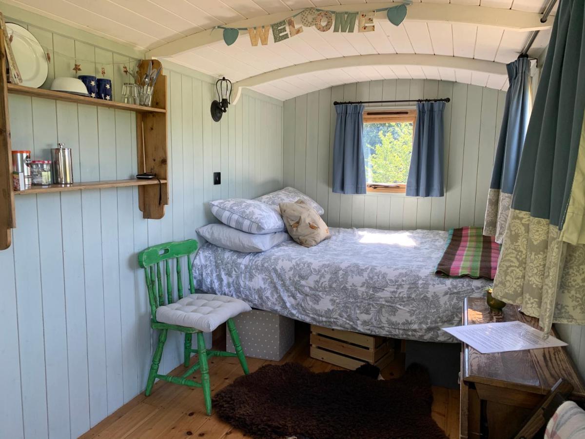 Sindles Farm Bed & Breakfast Emsworth Dış mekan fotoğraf