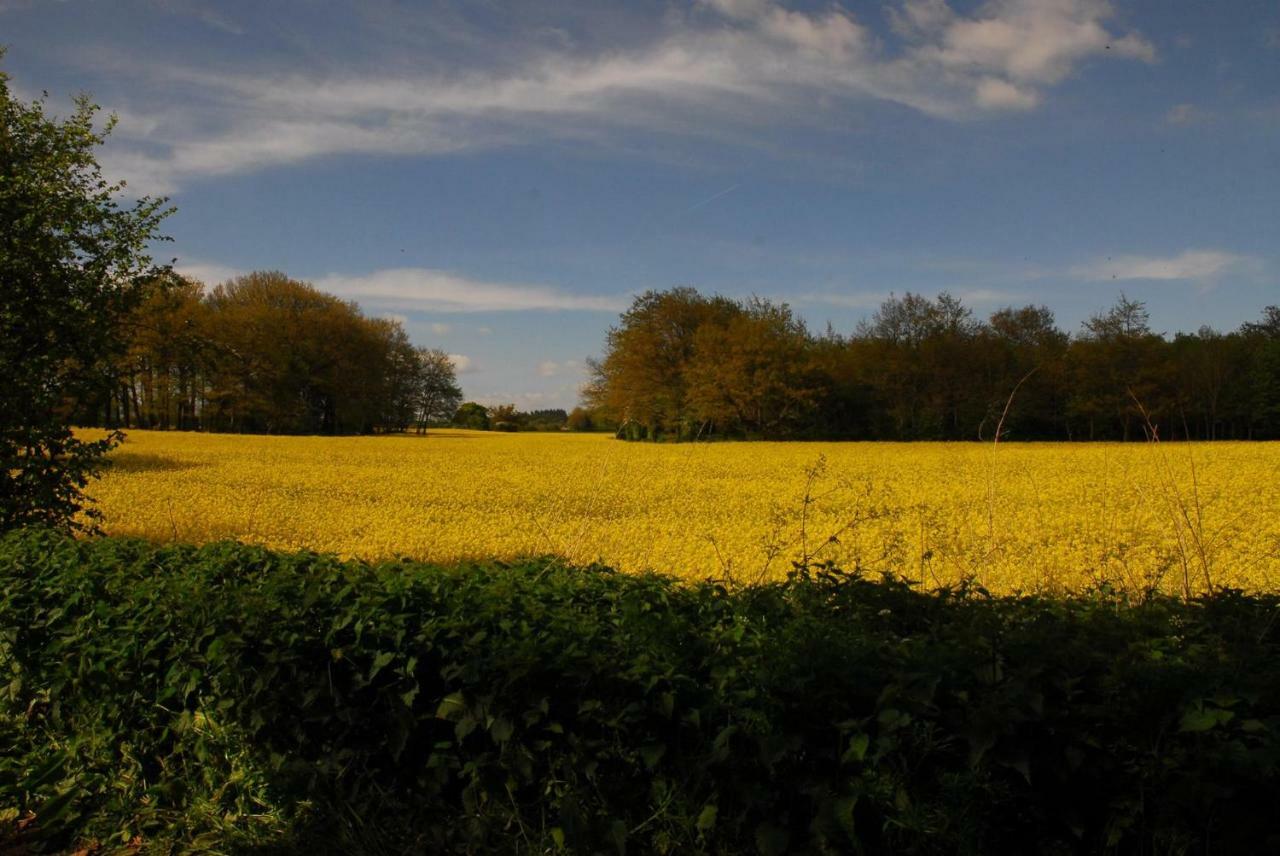 Sindles Farm Bed & Breakfast Emsworth Dış mekan fotoğraf