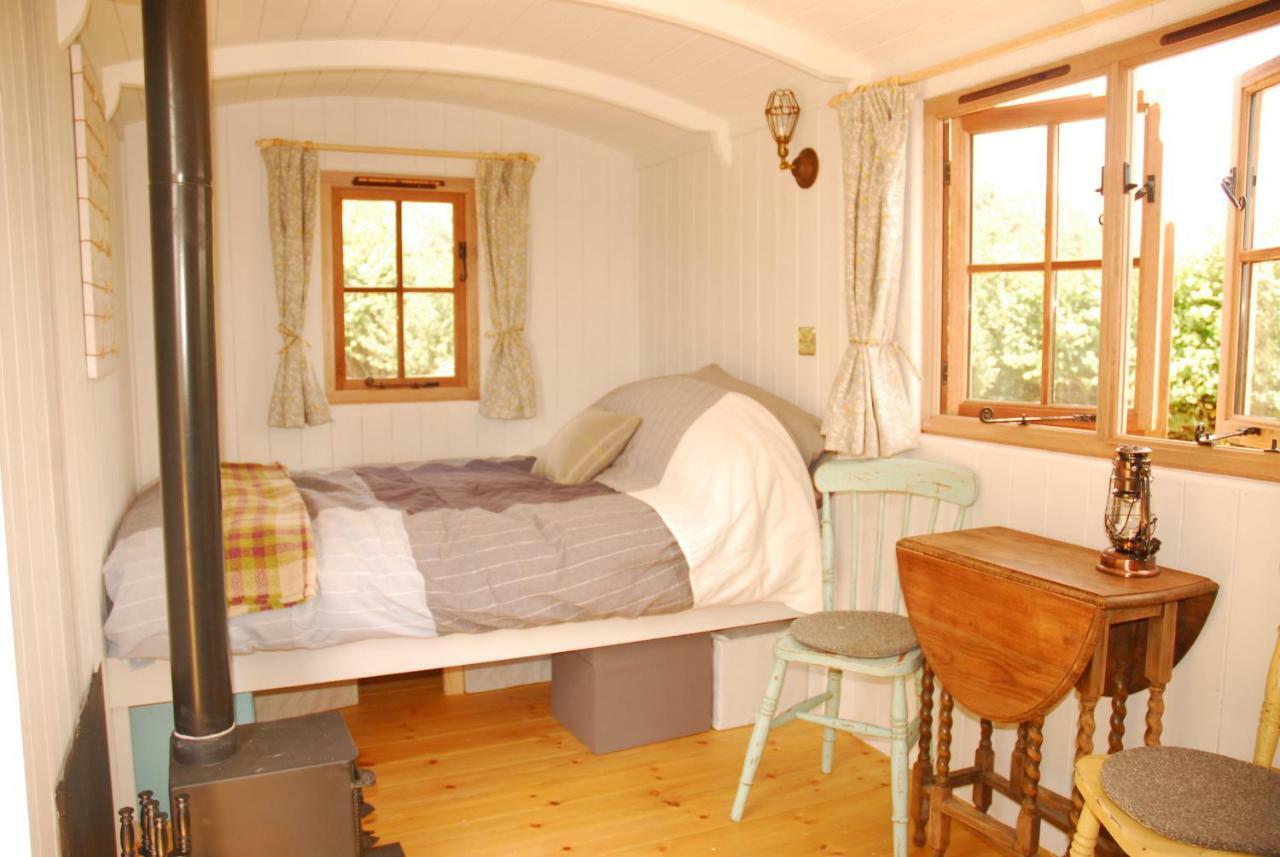 Sindles Farm Bed & Breakfast Emsworth Dış mekan fotoğraf